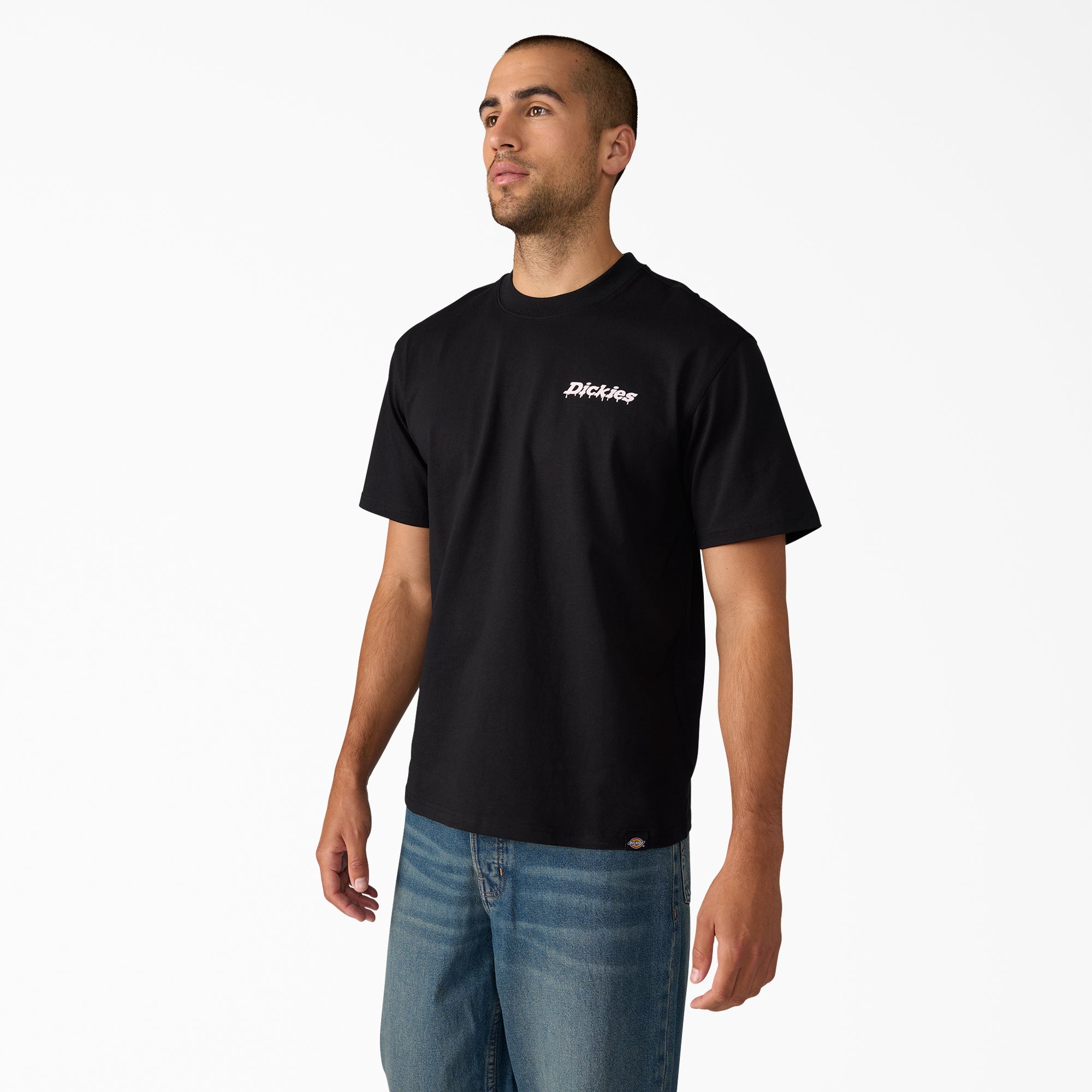 Statesville Graphic T-Shirt | Dickies