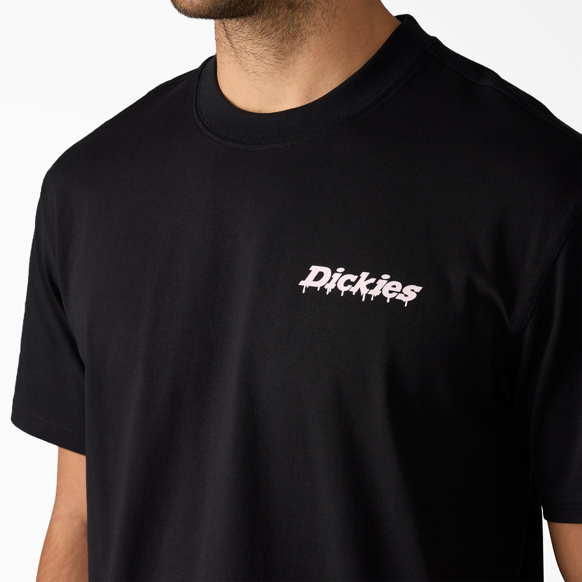 Statesville Graphic T-Shirt | Dickies