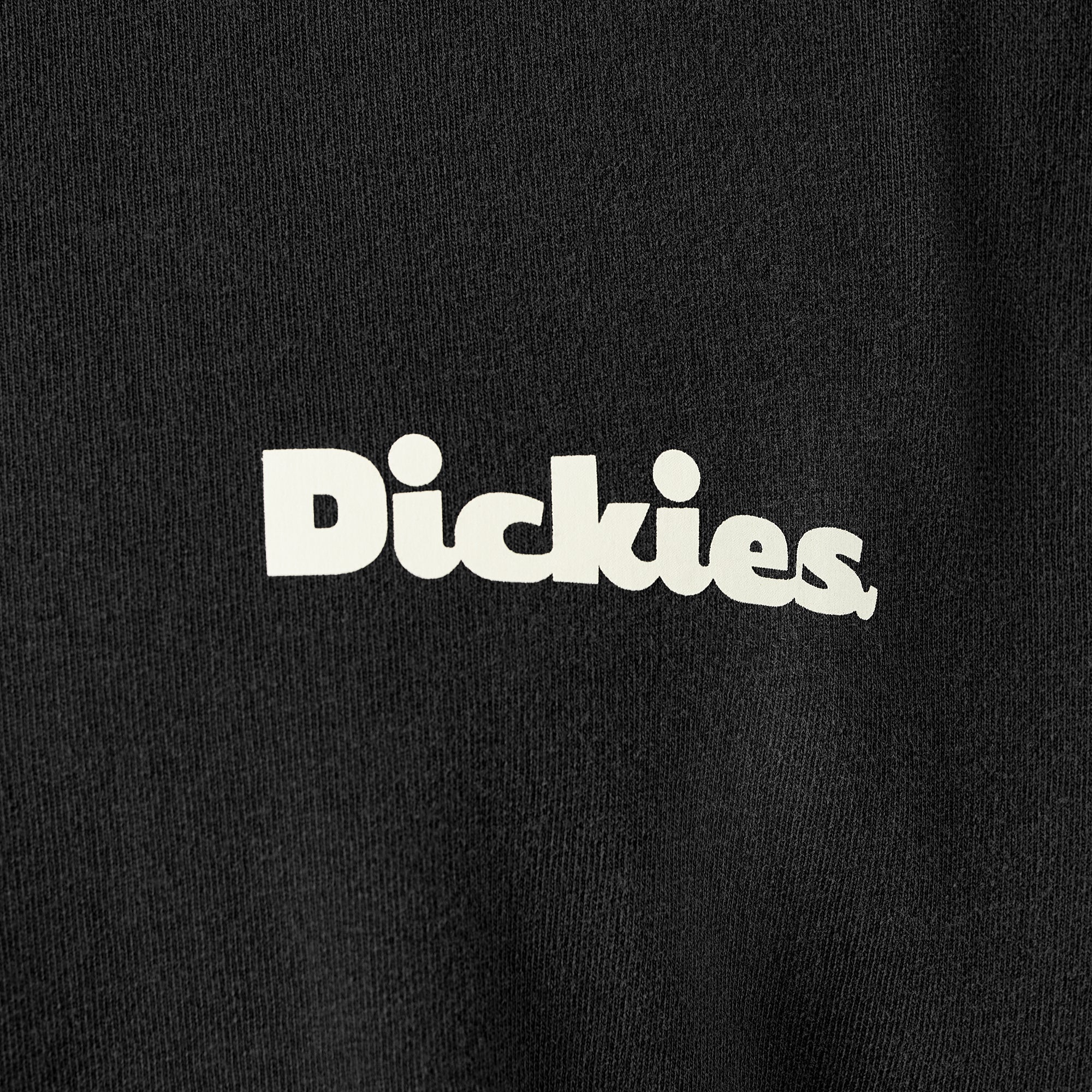 Slayden Garment Dyed T-Shirt | Dickies