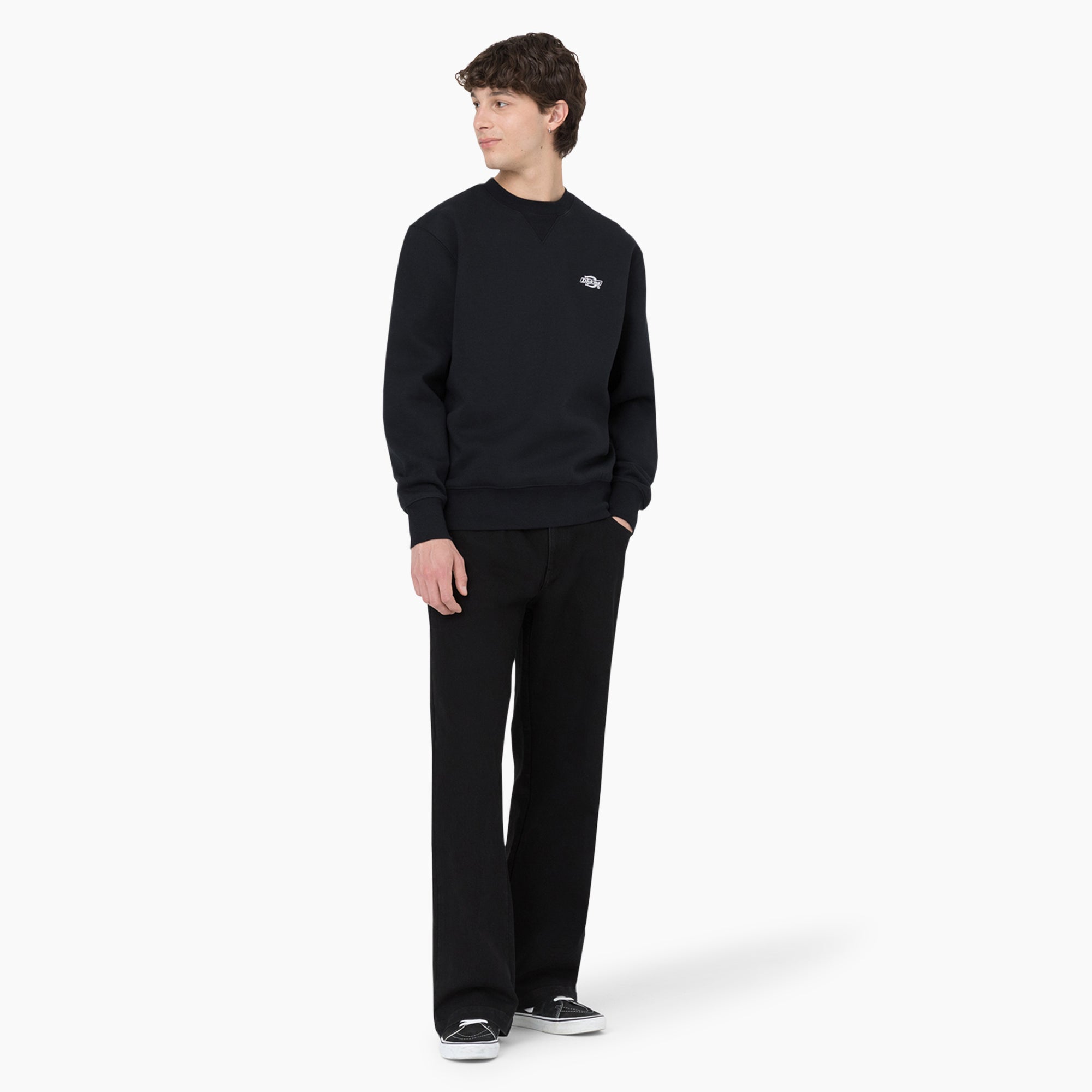 Dickies Skateboarding Wingville Loose Fit Jeans | Dickies