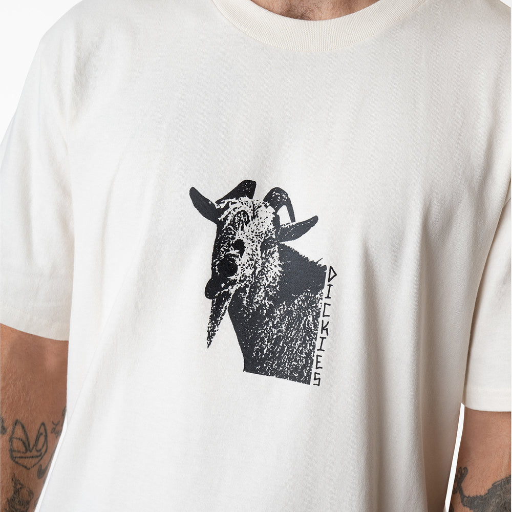 Mike Anderson Graphic T-Shirt | Dickies