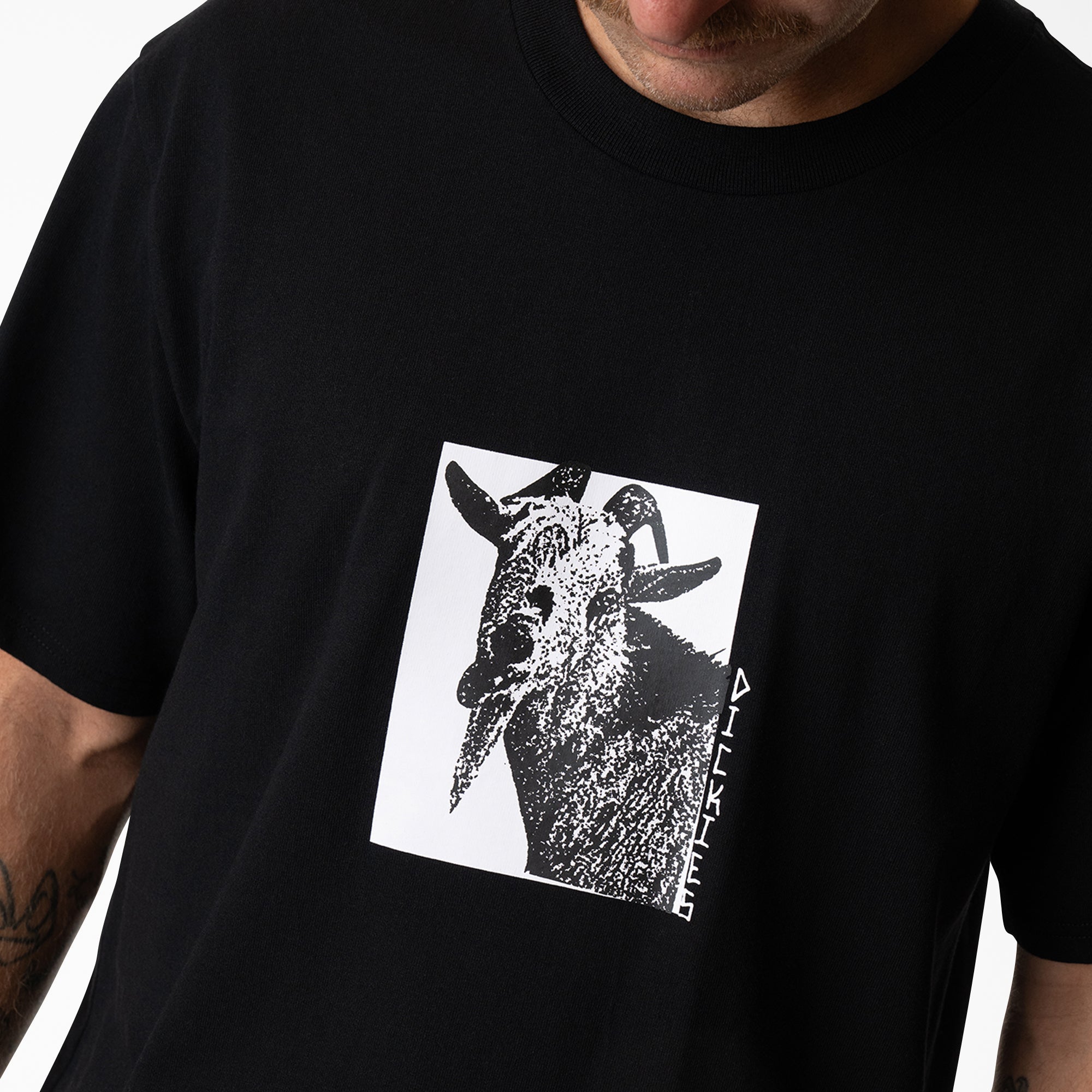 Mike Anderson Graphic T-Shirt | Dickies