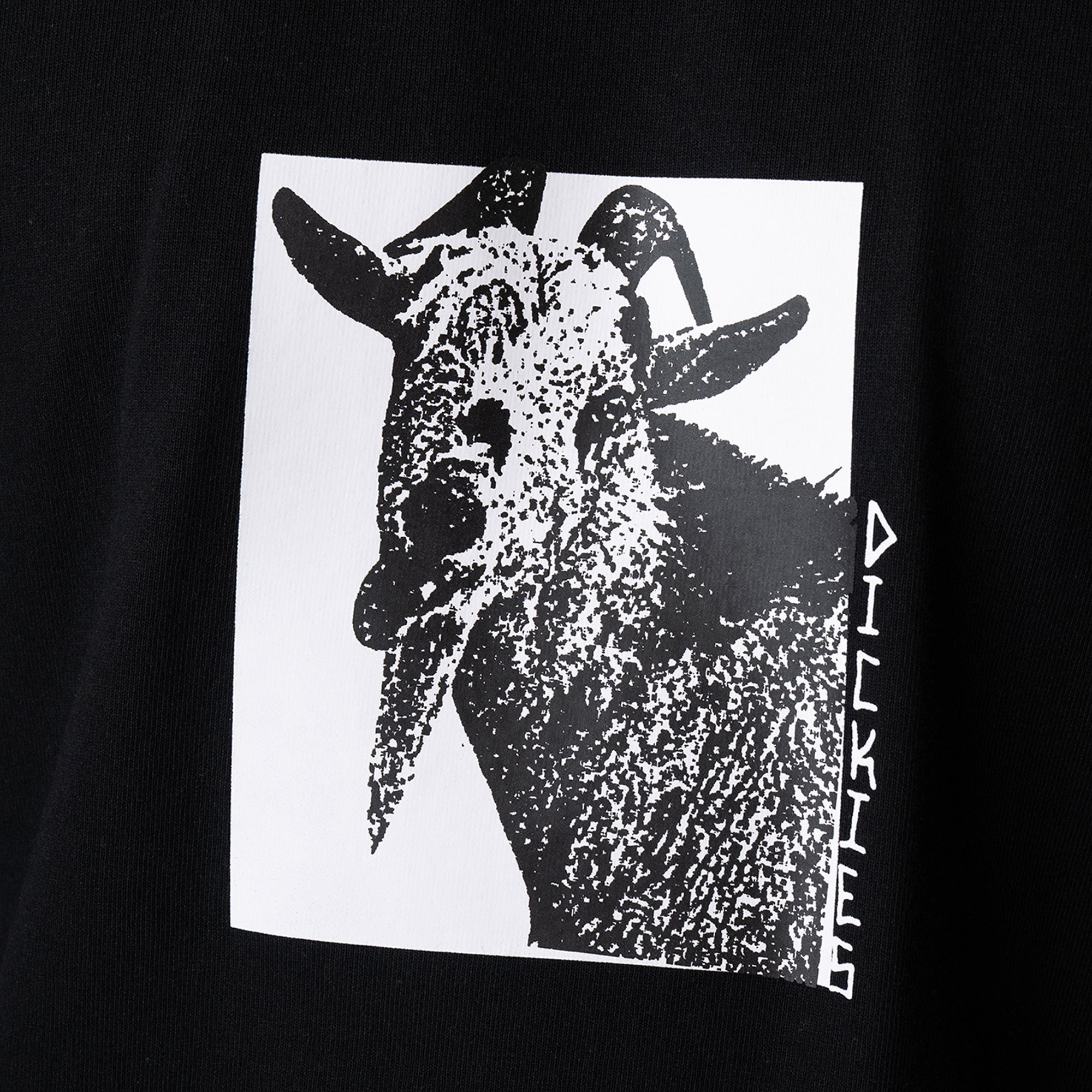 Mike Anderson Graphic T-Shirt | Dickies