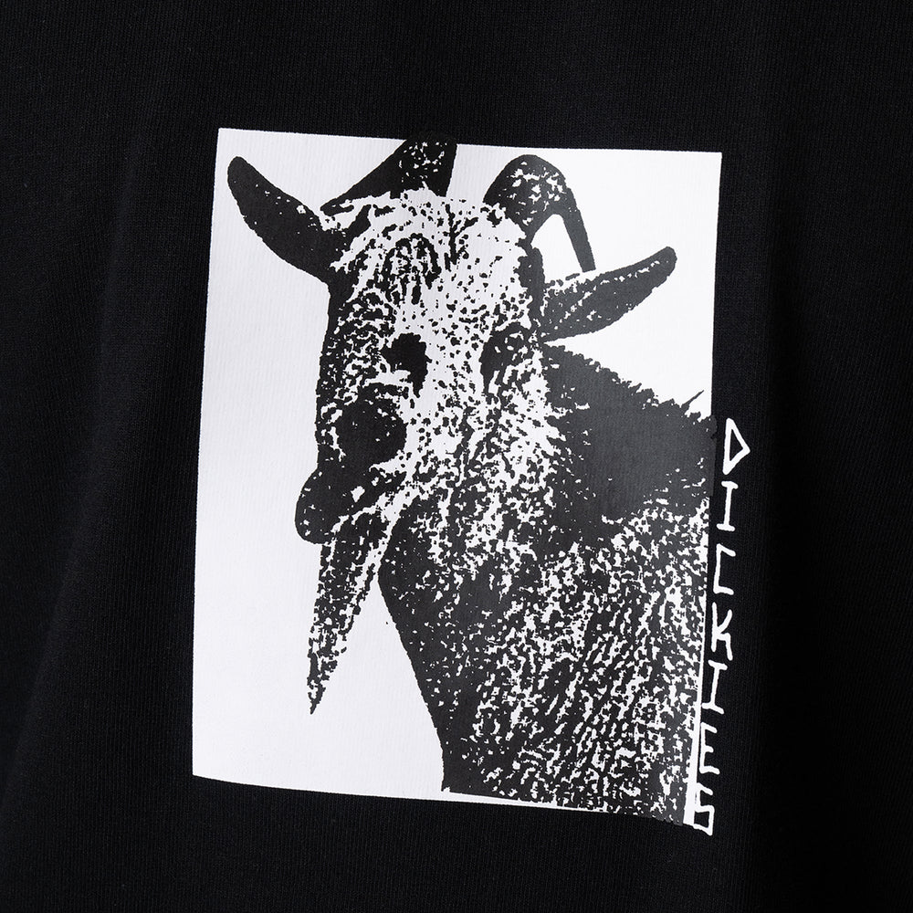 Mike Anderson Graphic T-Shirt | Dickies