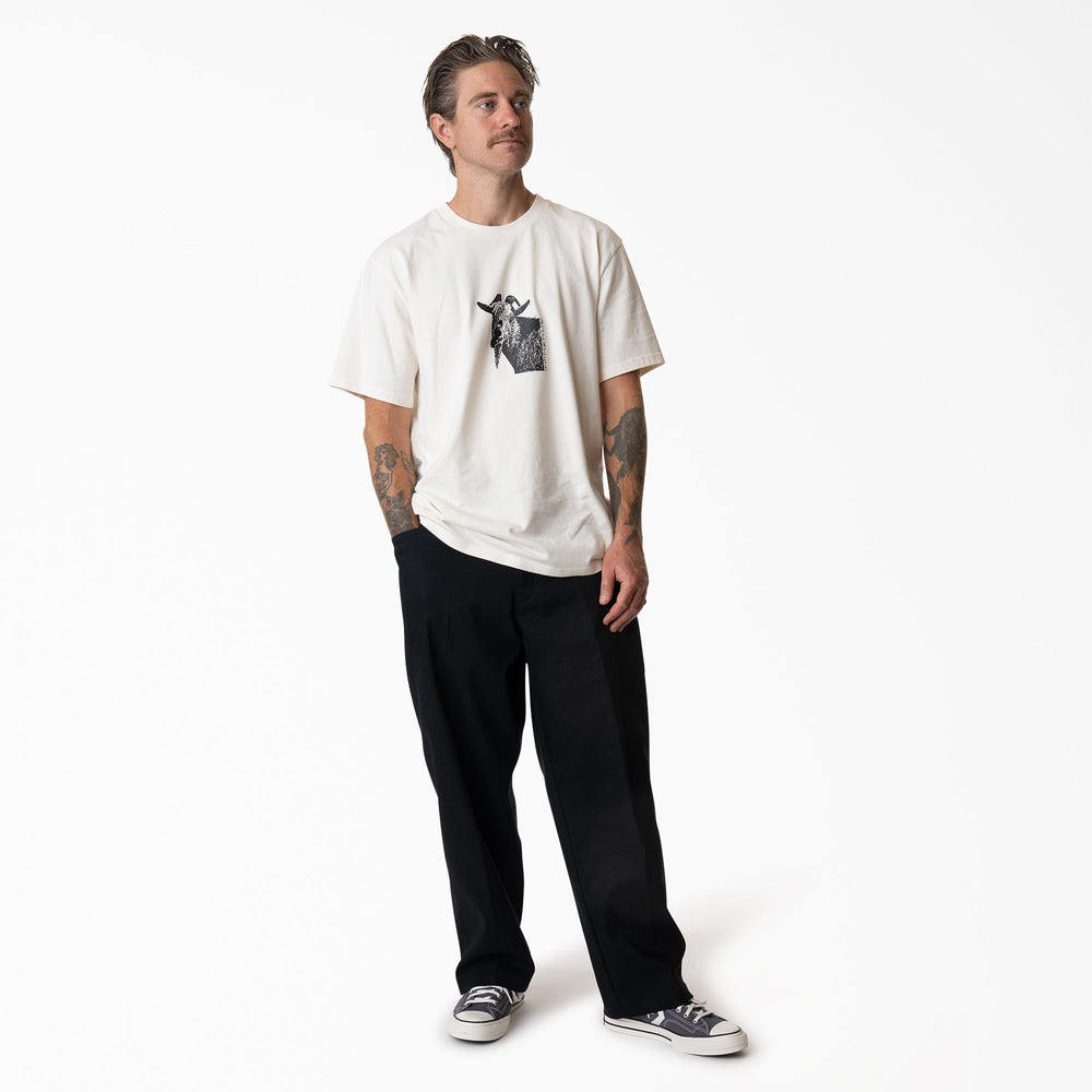 Mike Anderson Loose Fit Work Pants | Dickies
