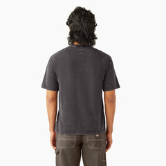 Plentywood Short Sleeve T-Shirt | Dickies