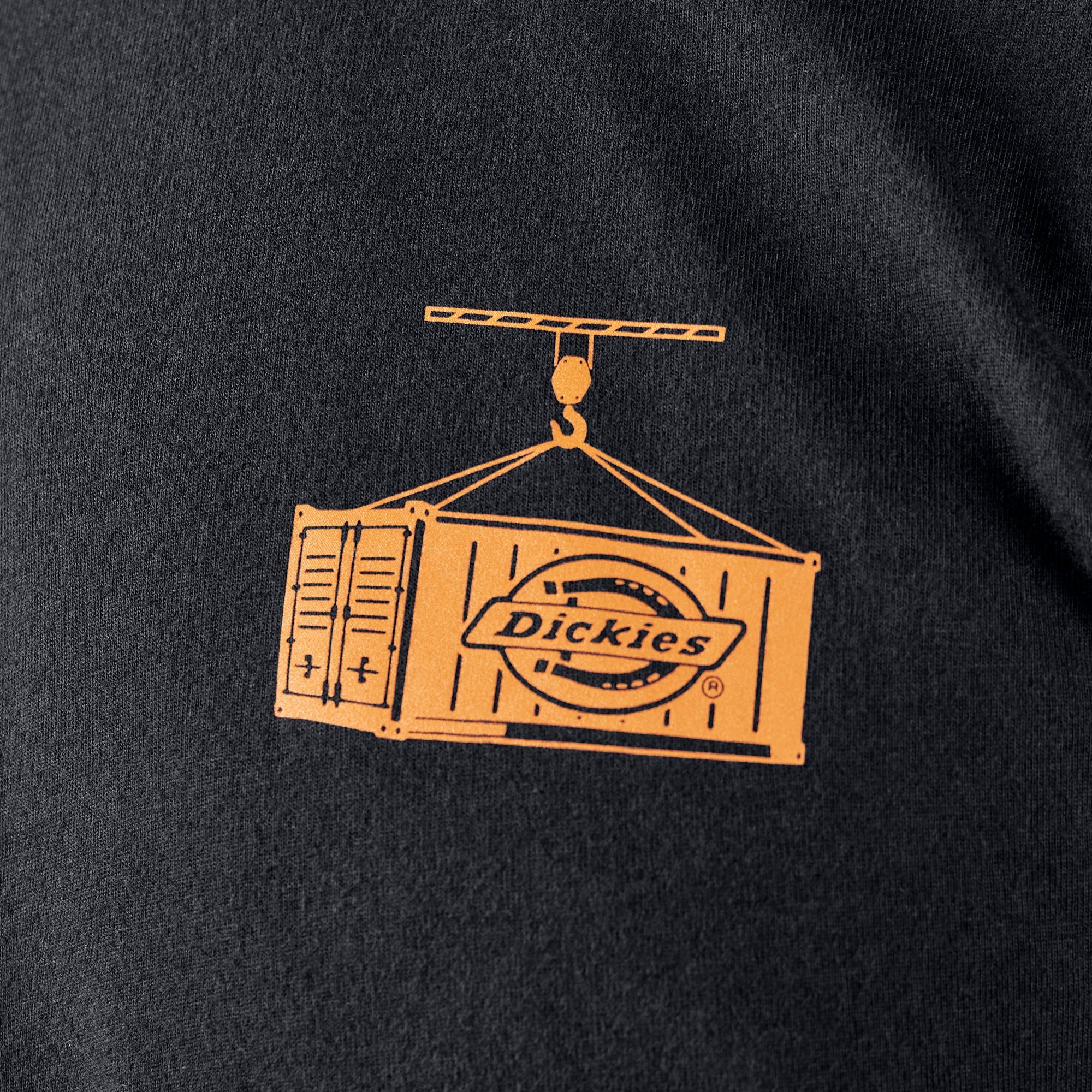 Apison Graphic T-Shirt | Dickies