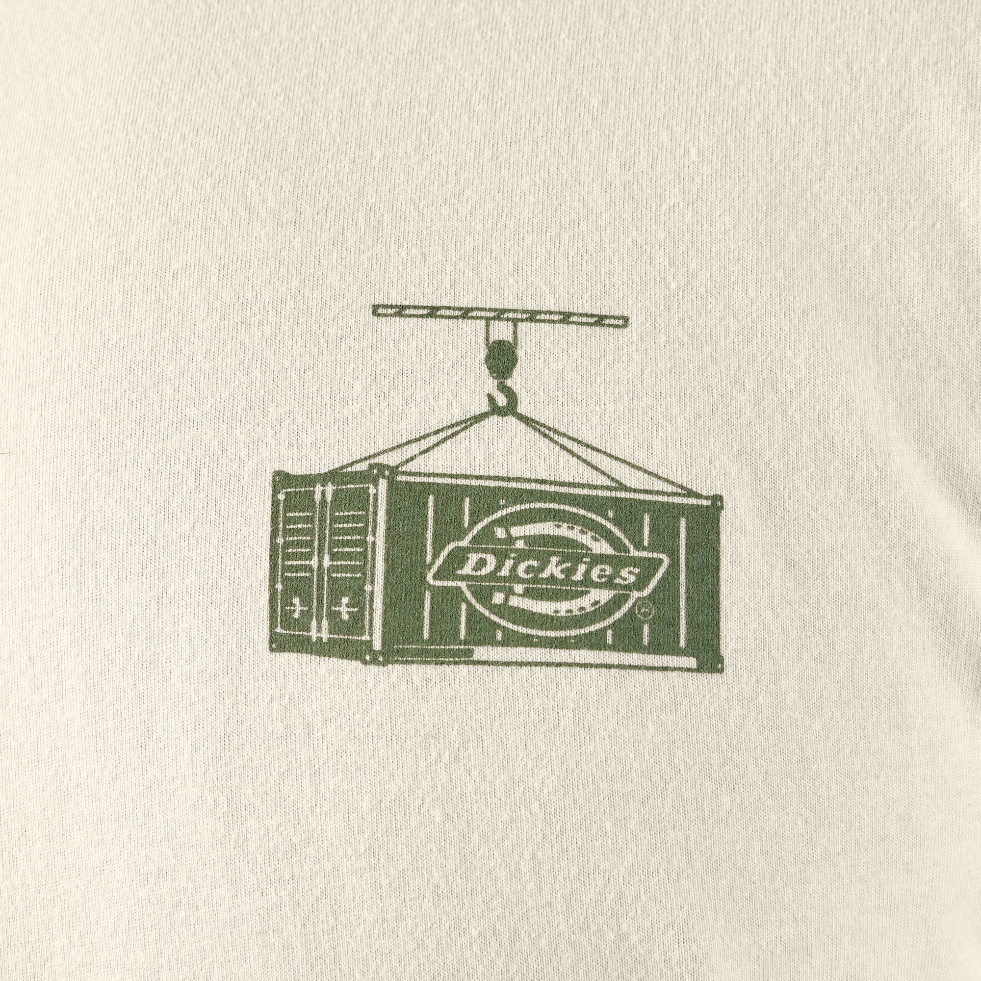 Apison Graphic T-Shirt | Dickies
