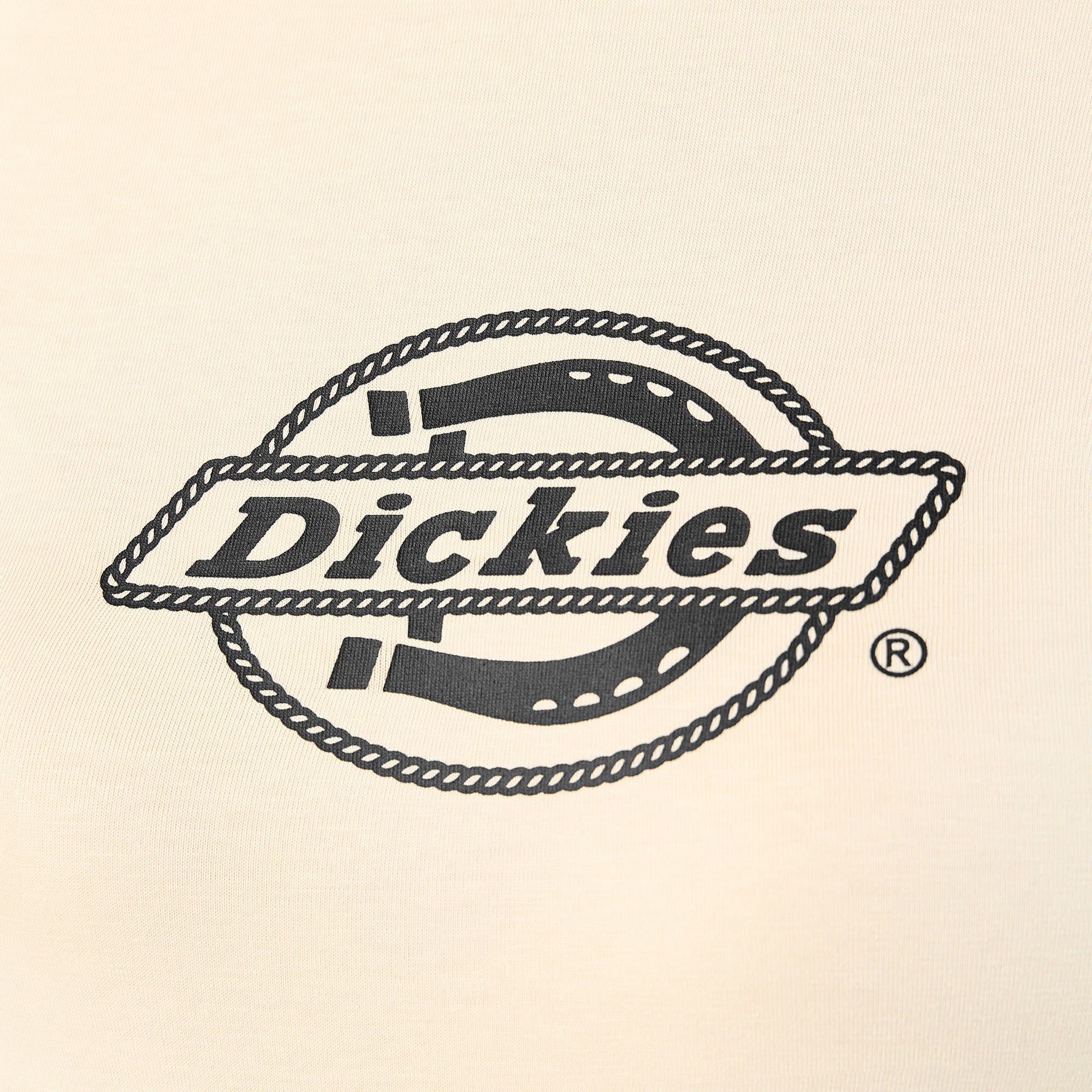 Women's Fort Shaw Raglan T-Shirt | Dickies
